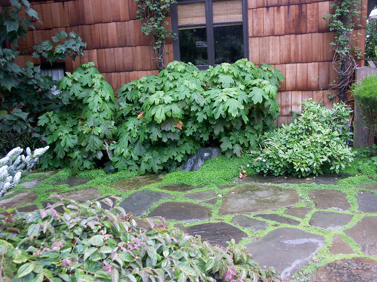 Decking and Landscaping